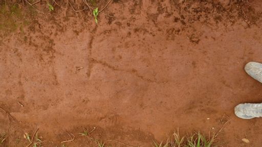dirt, ground, soil