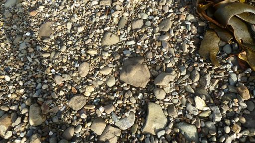 gravel, rocks