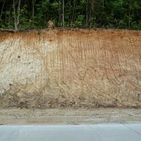 dirt, ground, soil, wall